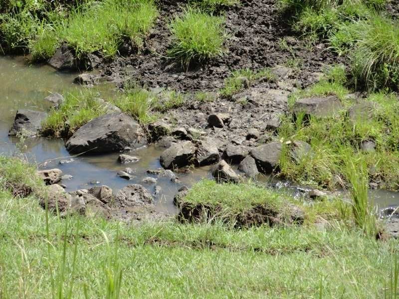 954 Ettrick Stapleton Road, Kyogle NSW 2474
