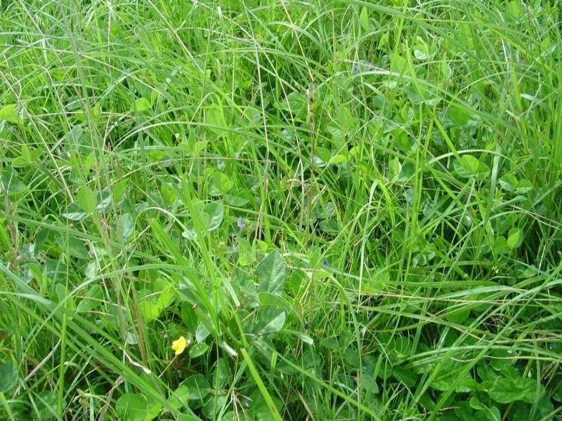 Upper Stratheden Road, Kyogle NSW 2474