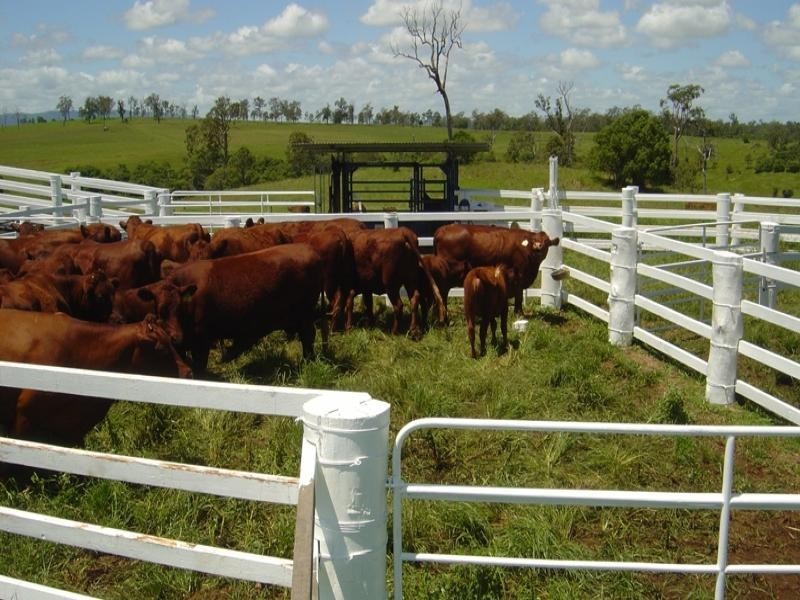 Upper Stratheden Road, Kyogle NSW 2474