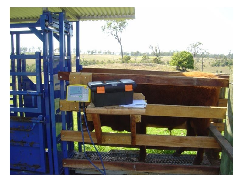 Upper Stratheden Road, Kyogle NSW 2474