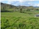 219 Gradys Creek Road, Kyogle NSW 2474