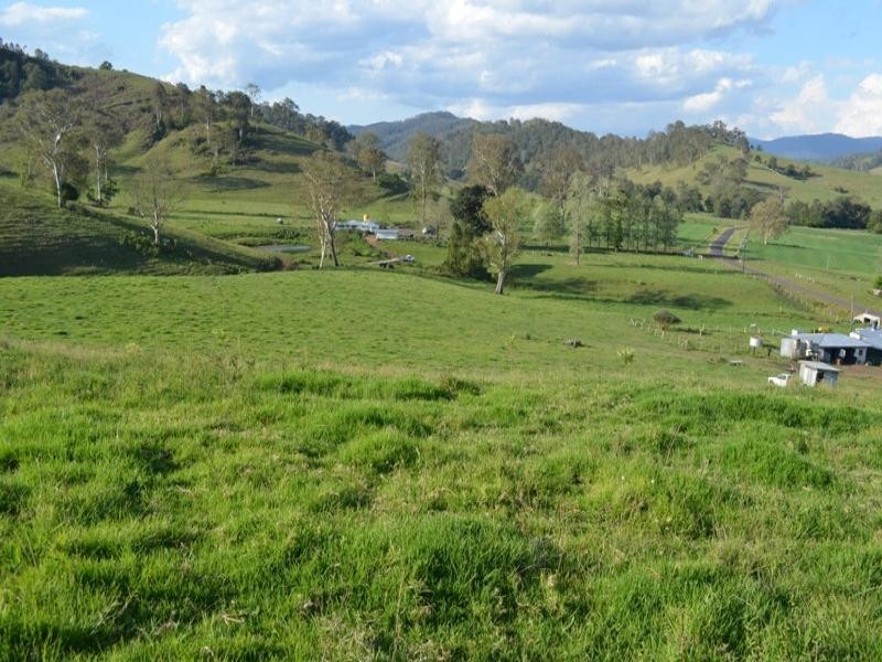 219 Gradys Creek Road, Kyogle NSW 2474