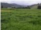 219 Gradys Creek Road, Kyogle NSW 2474
