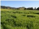 219 Gradys Creek Road, Kyogle NSW 2474