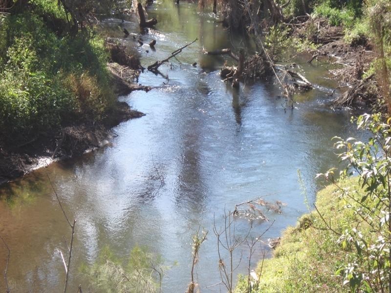 219 Gradys Creek Road, Kyogle NSW 2474