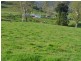 219 Gradys Creek Road, Kyogle NSW 2474