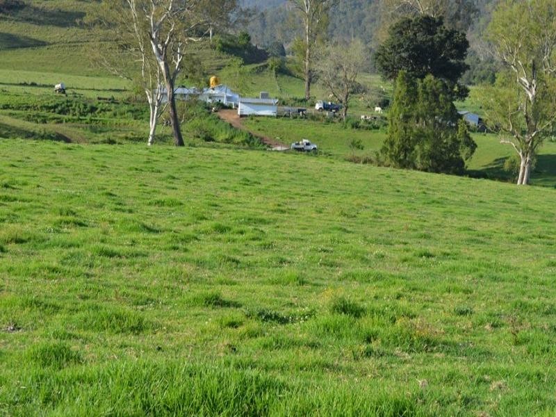219 Gradys Creek Road, Kyogle NSW 2474