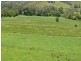 219 Gradys Creek Road, Kyogle NSW 2474