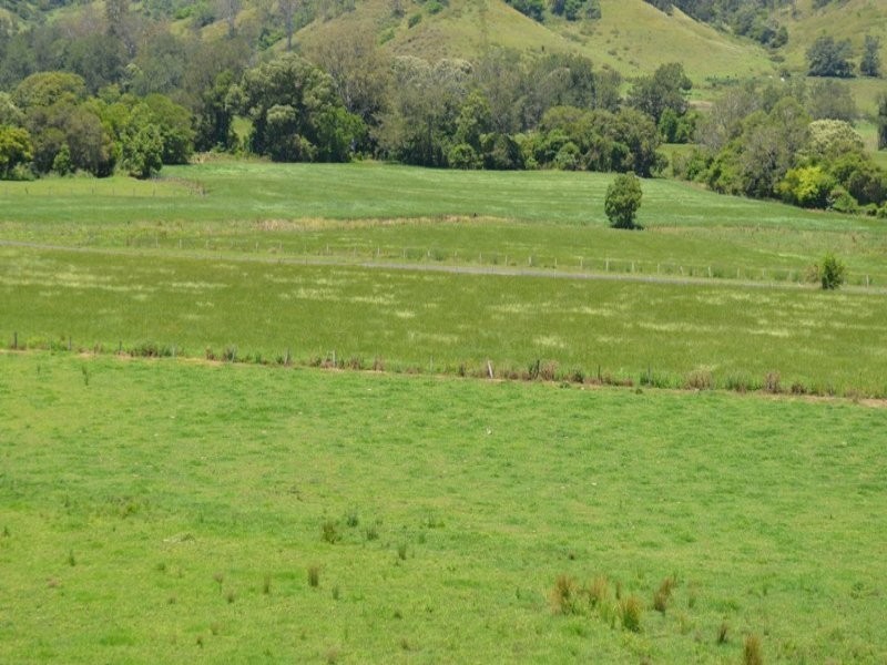 219 Gradys Creek Road, Kyogle NSW 2474