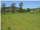 219 Gradys Creek Road, Kyogle NSW 2474