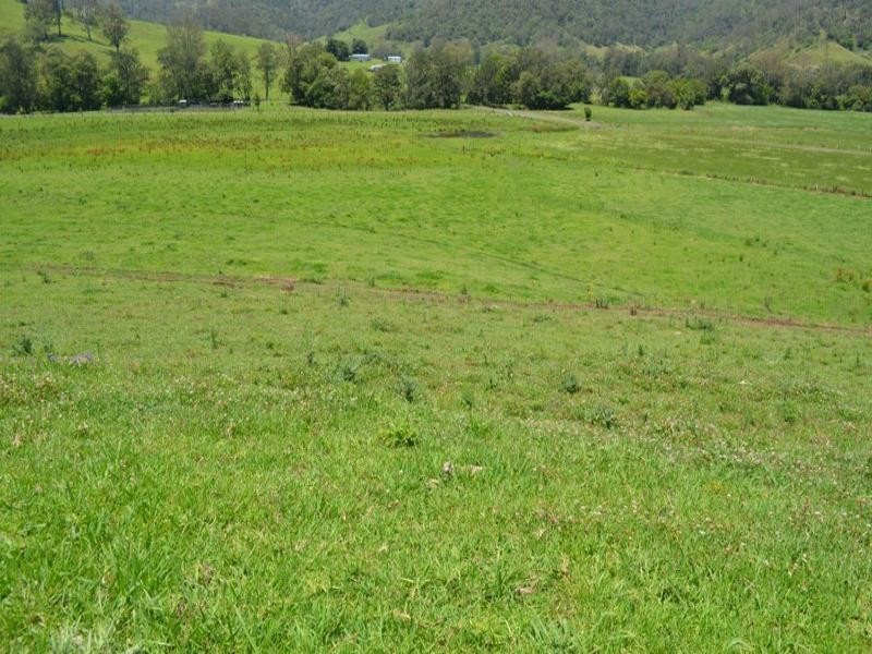 219 Gradys Creek Road, Kyogle NSW 2474
