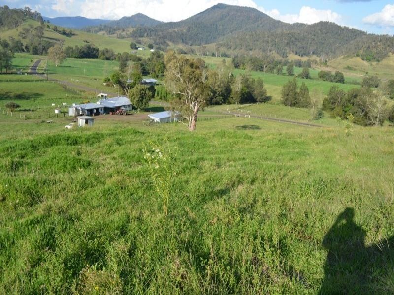 219 Gradys Creek Road, Kyogle NSW 2474