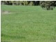 219 Gradys Creek Road, Kyogle NSW 2474