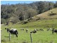 219 Gradys Creek Road, Kyogle NSW 2474