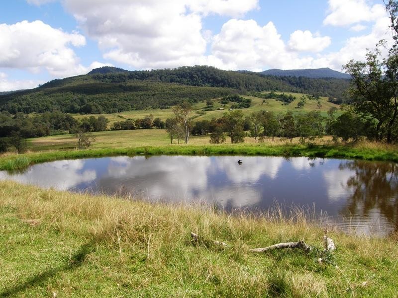 Lot 229 Beaury Creek Road, Urbenville NSW 2475