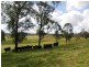 Lot 229 Beaury Creek Road, Urbenville NSW 2475