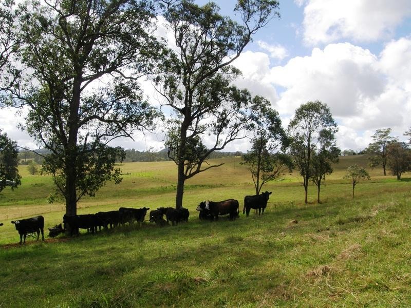 Lot 229 Beaury Creek Road, Urbenville NSW 2475