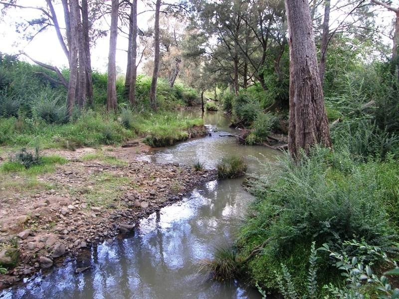 Lot 228 Beaury Creek Road, Urbenville NSW 2475