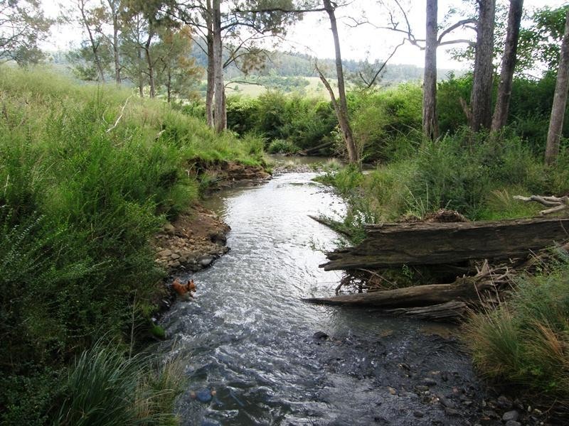 Lot 228 Beaury Creek Road, Urbenville NSW 2475