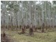 Tenterfield NSW 2372