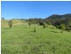 Kyogle NSW 2474