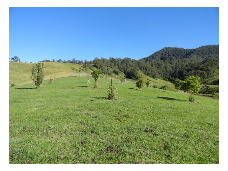 Kyogle NSW 2474