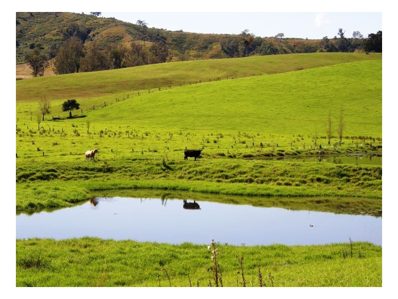 Kyogle NSW 2474
