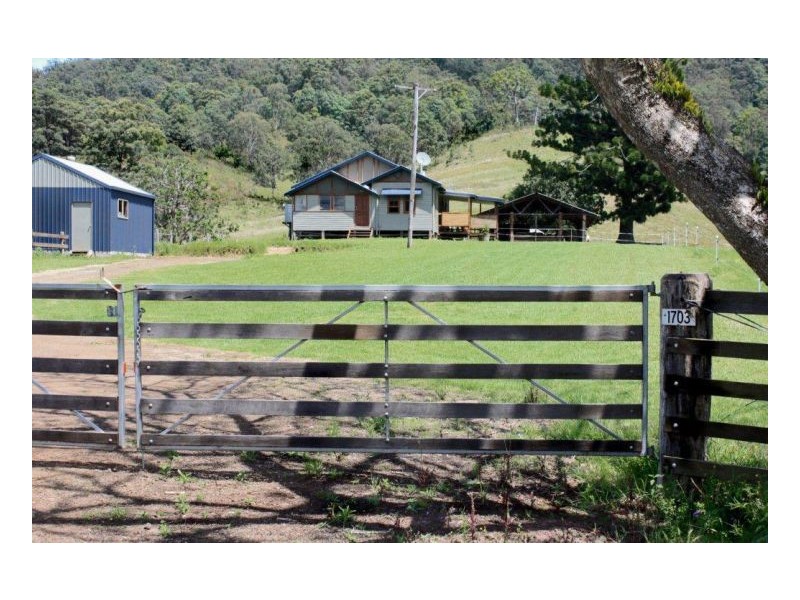 Collins Creek NSW 2474