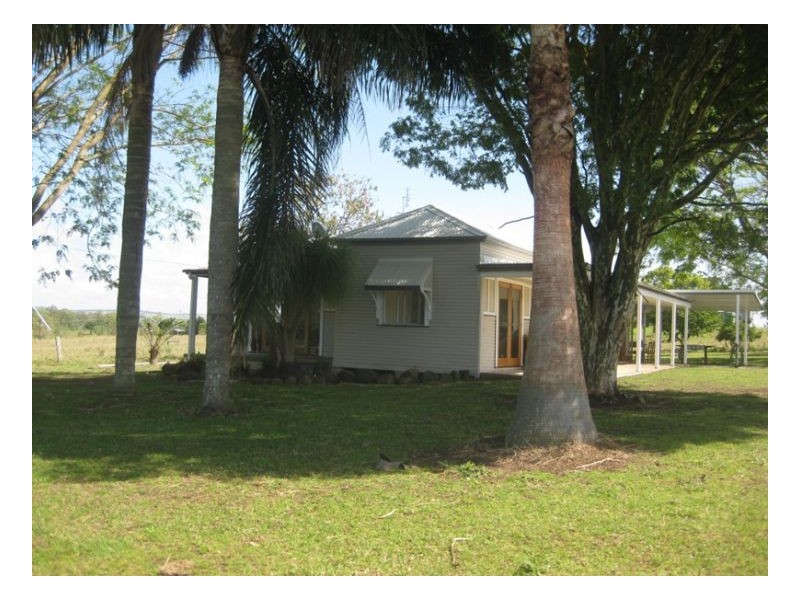 Cedar Point NSW 2474