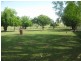 Cedar Point NSW 2474