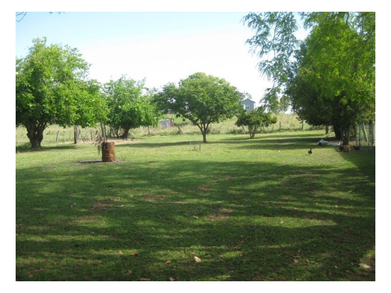Cedar Point NSW 2474