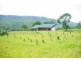 Kyogle NSW 2474