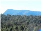 Kyogle NSW 2474