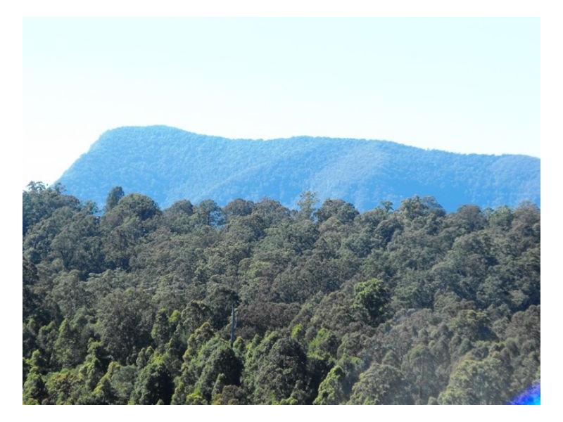 Kyogle NSW 2474