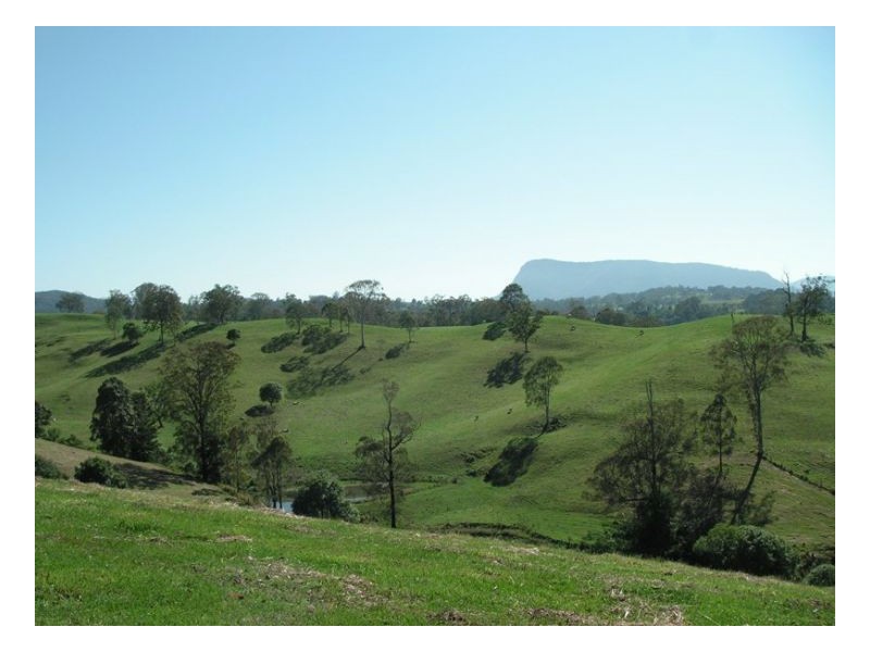 Williams Road, Kyogle NSW 2474
