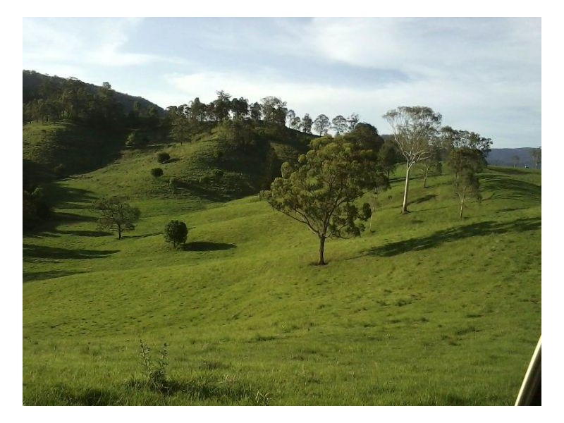 Williams Road, Kyogle NSW 2474