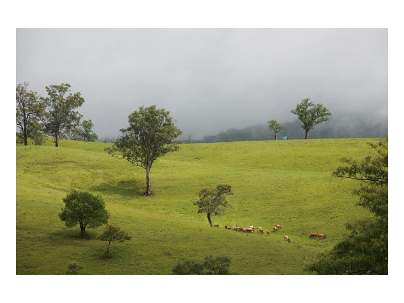 Williams Road, Kyogle NSW 2474