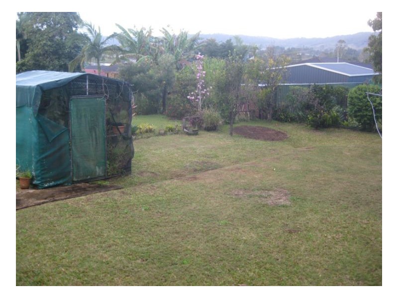 6 Saville Street, Kyogle NSW 2474