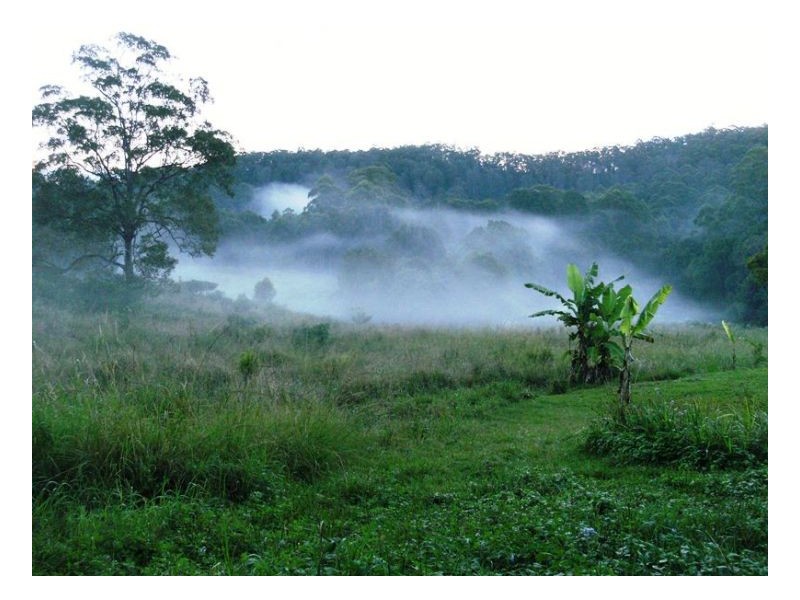 50 Tallowood Road, Kyogle NSW 2474