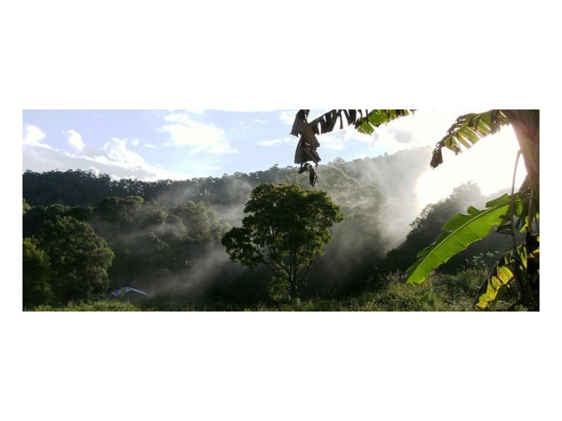 50 Tallowood Road, Kyogle NSW 2474