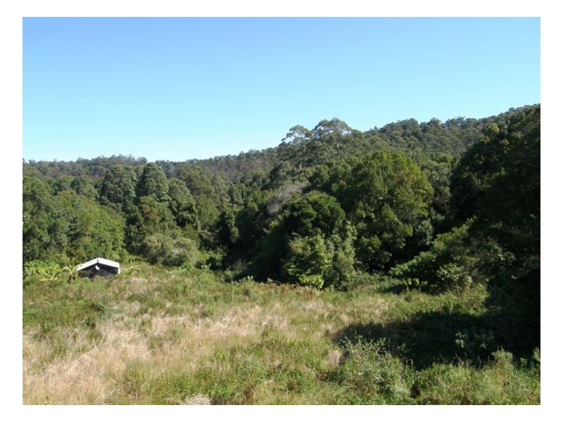 50 Tallowood Road, Kyogle NSW 2474