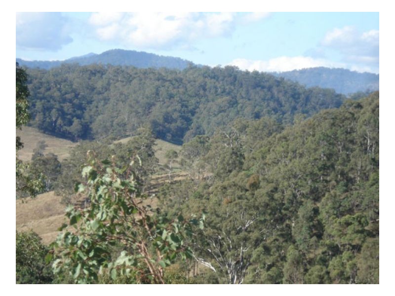 Wyndham Creek Road, Kyogle NSW 2474