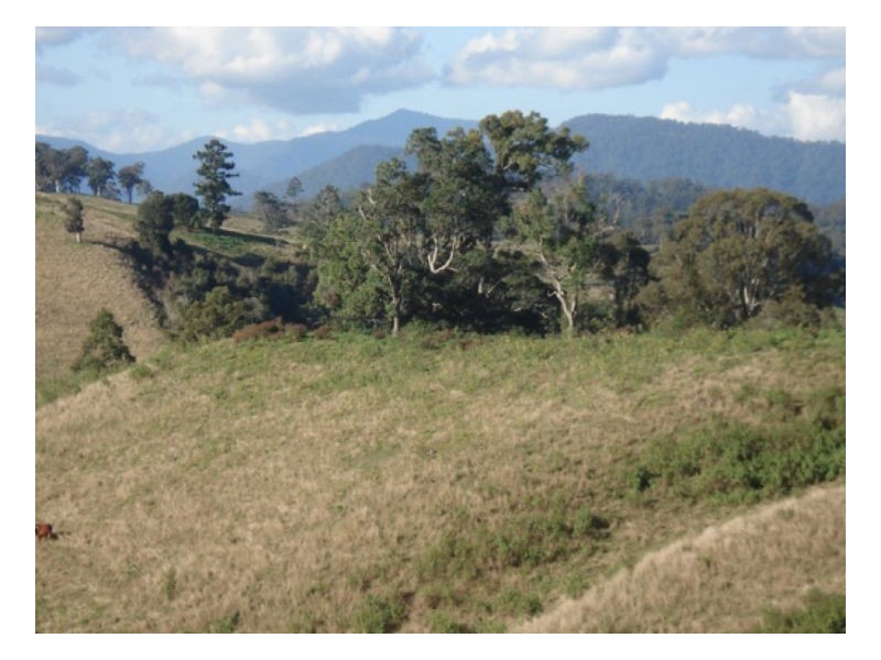 Wyndham Creek Road, Kyogle NSW 2474