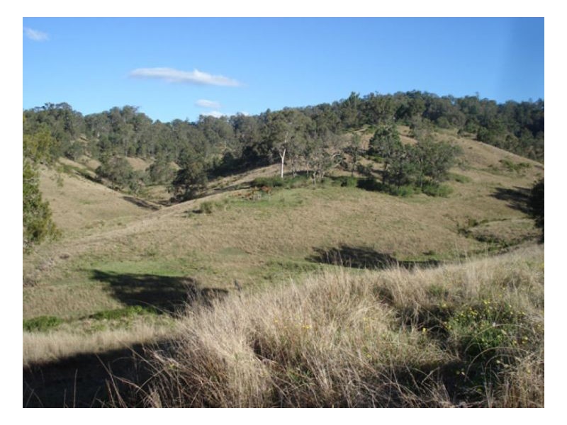 Wyndham Creek Road, Kyogle NSW 2474