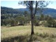 471 Roseberry Creek Road, Kyogle NSW 2474