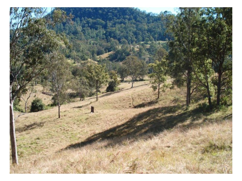471 Roseberry Creek Road, Kyogle NSW 2474