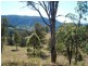 471 Roseberry Creek Road, Kyogle NSW 2474