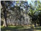 4600 Paddys Flat Road, Kyogle NSW 2474