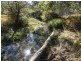 4600 Paddys Flat Road, Kyogle NSW 2474
