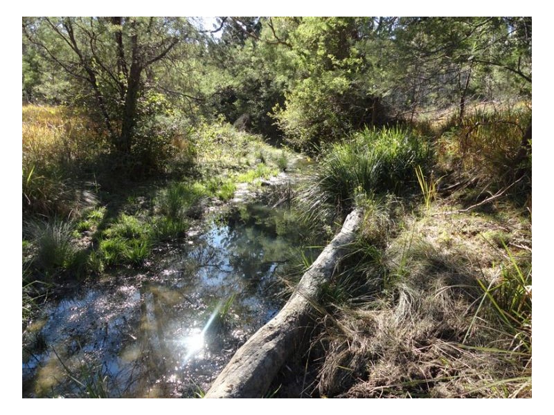4600 Paddys Flat Road, Kyogle NSW 2474